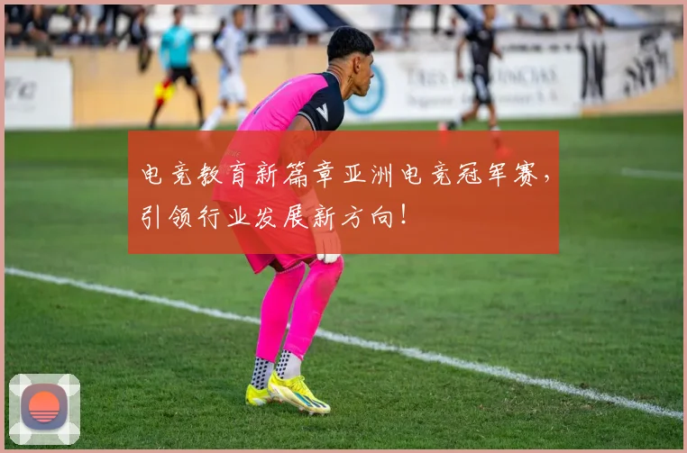 电竞教育新篇章亚洲电竞冠军赛,引领行业发展新方向!