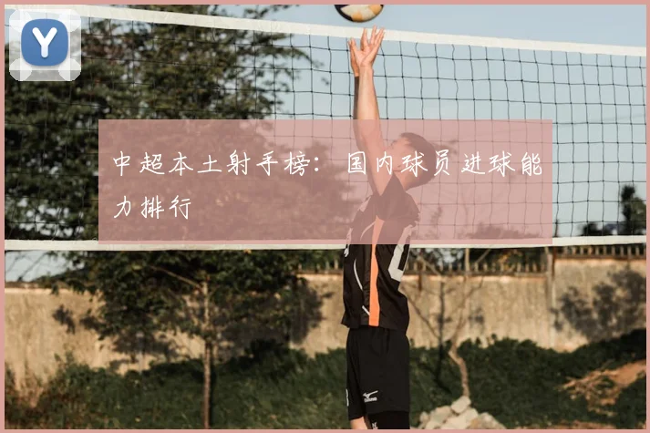 中超本土射手榜:国内球员进球能力排行
